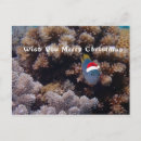 Pesquisar por de mergulho cartoes postais Scuba