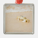 Pesquisar por surf ornamentos Praia