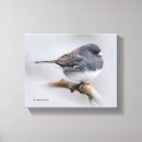Pesquisar por olho impressão de canvas Natureza