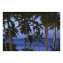 Pesquisar por dominicana pôsteres pósteres Hispaniola