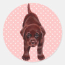 Pesquisar por labrador adesivos Retriever