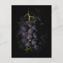 Pesquisar por uvas roxas cartoes postais Púrpura