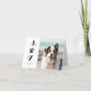 Pesquisar por gato cão cartoes Cachorros