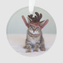 Pesquisar por cama ornamentos Gato