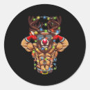 Pesquisar por bodybuilding adesivos Elevação de peso