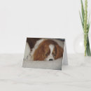 Pesquisar por cavalier king charles spaniel cartoes Obrigado