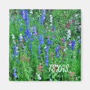 Pesquisar por wildflowers imas Azul