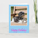 Pesquisar por shih tzu cartoes Cachorros