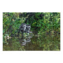 Pesquisar por guaxinim fotografia Para todos