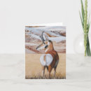 Pesquisar por antilope cartoes Natureza