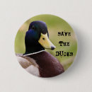 Pesquisar por pato botons Natureza