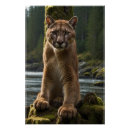 Pesquisar por felino pósteres Puma