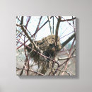 Pesquisar por ninho impressão de canvas Natureza