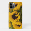 Pesquisar por sunflower iphone capas Ouro