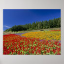 Pesquisar por viagem japão pôsteres pósteres Natureza