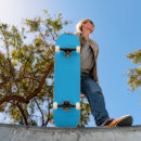 Pesquisar por céu azul skates Para todos