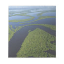 Pesquisar por brasil bloco de notas Floresta tropical