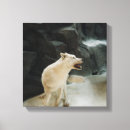 Pesquisar por arte lobo impressão de canvas Vida selvagem