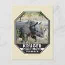 Pesquisar por rhino cartoes postais Rinocerontes