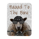 Pesquisar por ossos imas Animais