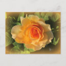 Pesquisar por perfume cartoes postais Floral