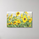 Pesquisar por girassol amarelo impressão de canvas Marrom