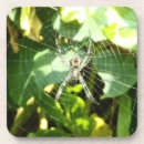 Pesquisar por aranha porta copos Web