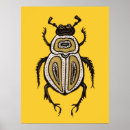 Pesquisar por besouros pósteres Qualquer pessoa
