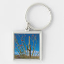 Pesquisar por tucson chaveiros Saguaro