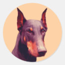 Pesquisar por doberman adesivos Doberista