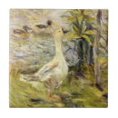 Pesquisar por aves aquáticas azulejos Animal