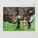 Pesquisar por vacas engraçadas cartoes postais Bonitinho