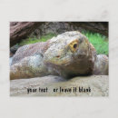 Pesquisar por dragao komodo cartoes postais Natureza