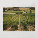 Pesquisar por camino de santiago cartoes postais Caminhar