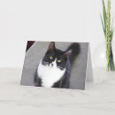 Pesquisar por tuxedo kitten cartoes Cat
