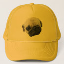 Pesquisar por cão filhote cachorro bones Canino