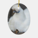 Pesquisar por galinhas ornamentos Pintinho