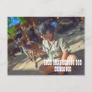 Pesquisar por wild life cartoes postais Para todos