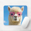 Pesquisar por alpaca eletronicos Lã