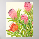 Pesquisar por watercolor flower pôsteres pósteres Tropical