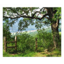 Pesquisar por através dos campos pôsteres pósteres Natureza