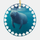 Pesquisar por peixe boi ornamentos Vaca de mar