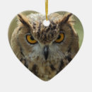 Pesquisar por fotos da coruja ornamentos Pássaro