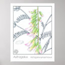 Pesquisar por flores poster plantas pôsteres pósteres Qualquer pessoa