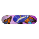 Pesquisar por pintinhos skates Rosa