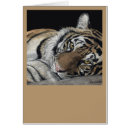 Pesquisar por desenho do tigre cartoes postais Ilustração