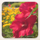 Pesquisar por hibiscus porta copos Jardim