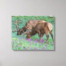 Pesquisar por antlers impressão de canvas Colorado