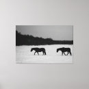 Pesquisar por cavalos preto e branco impressão de canvas Equino
