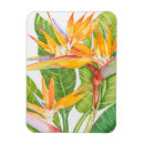 Pesquisar por flower imas Floral